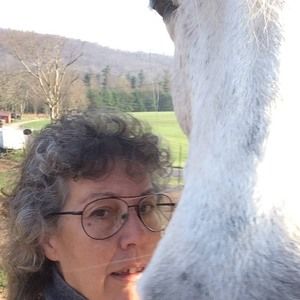 Meet your Posher, Jill